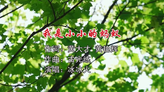 我是小小的蚂蚁 作词:黄大才 黄艳辉 作曲:古光练 演唱:冰冰火