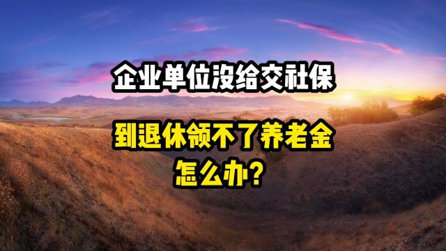 企业单位没有给交社保,到退休领不了养老金,怎么办?