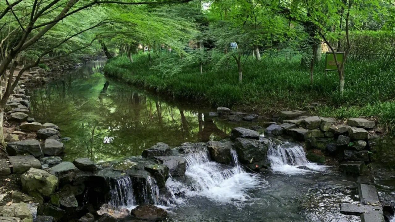杭州九溪十八涧,氧气感十足,绿意葱茏,流水潺潺,繁然悠然盛开
