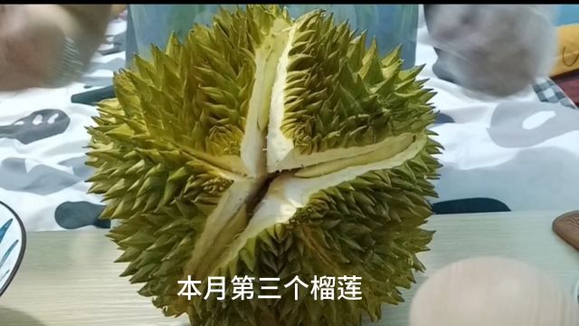 又到吃榴莲的季节了