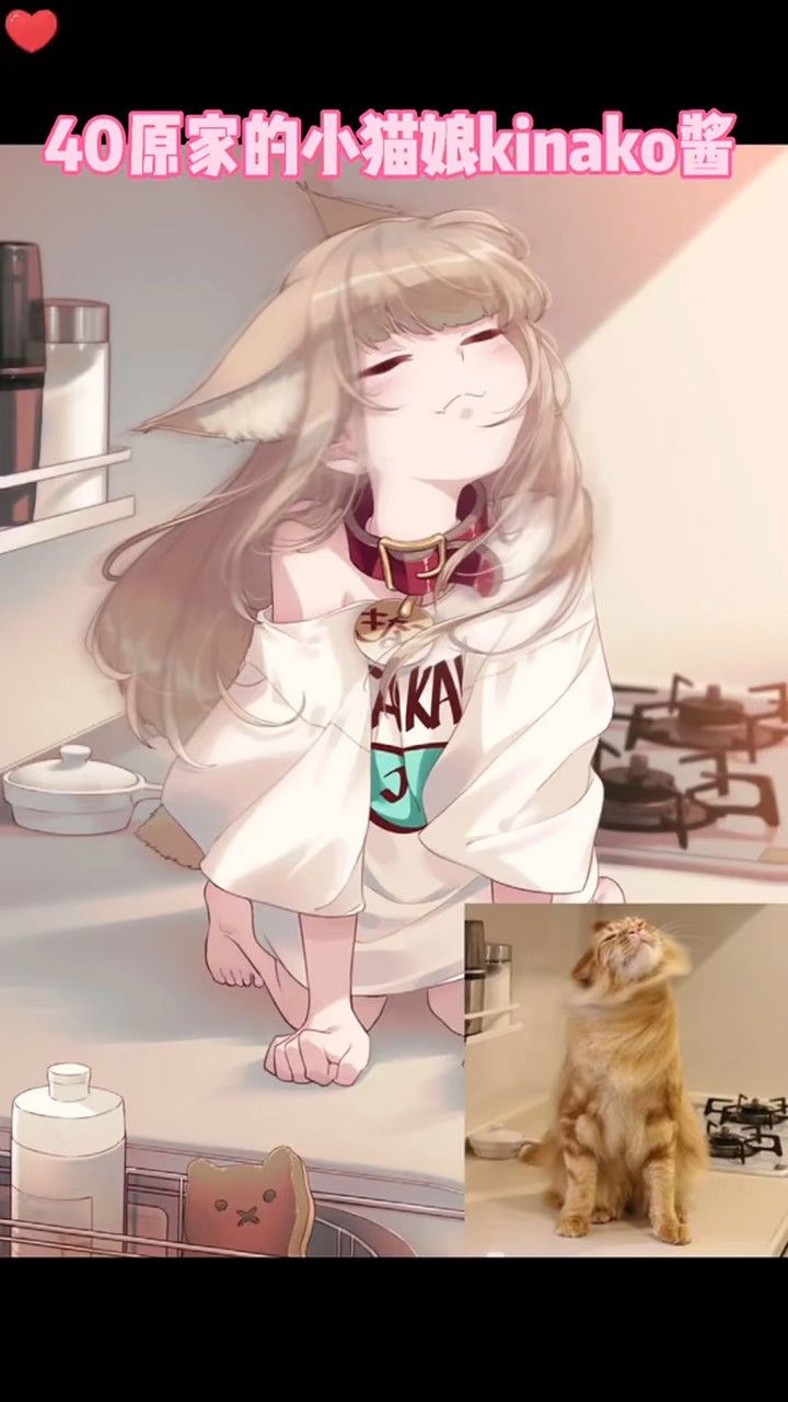 我家的猫猫变成了可爱的女孩子!我该怎么办?