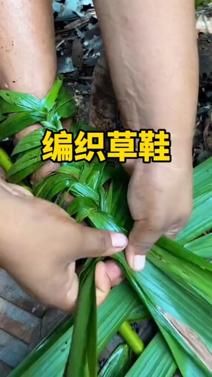这样的草鞋你学会了吗?