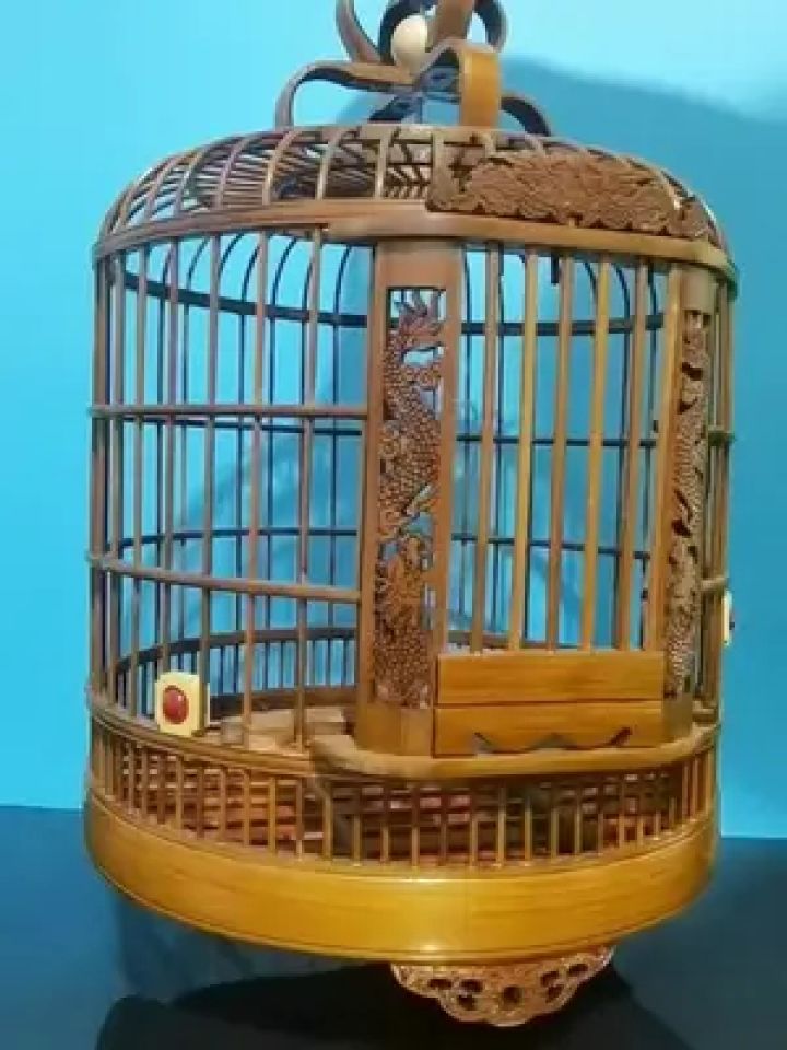 贵州画眉鸟笼#鸟笼鸟具 #养鸟经验分享
