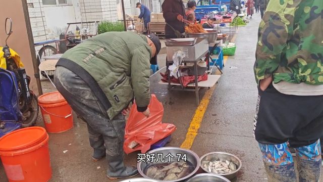 早上五点穿棉袄逛早市,各种山野菜太多了,大鲤鱼5块钱一斤