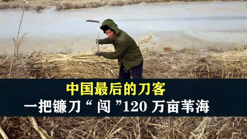 中国最后的刀客，凭一把镰刀“闯”120万亩的苇海，他们是谁？