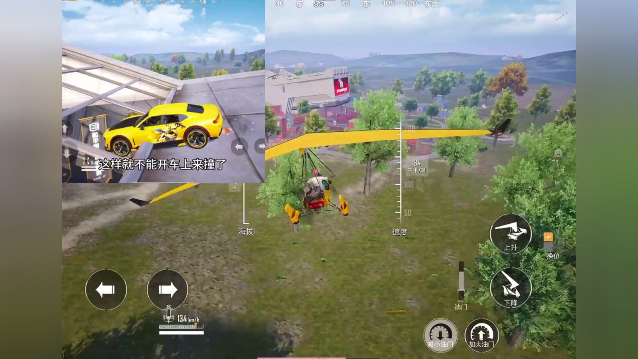 今天表哥挑战冠军基地楼顶的大黄蜂