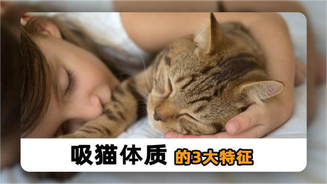 吸猫体质的3大特征,你中招了吗?