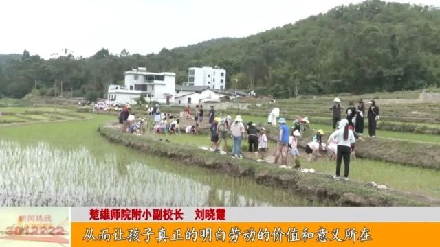 楚雄师院附小:入田学农事 插秧悟节俭