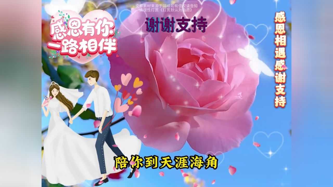 36【珍惜】人生最美的相遇,就是遇见你这首歌希望你喜欢!