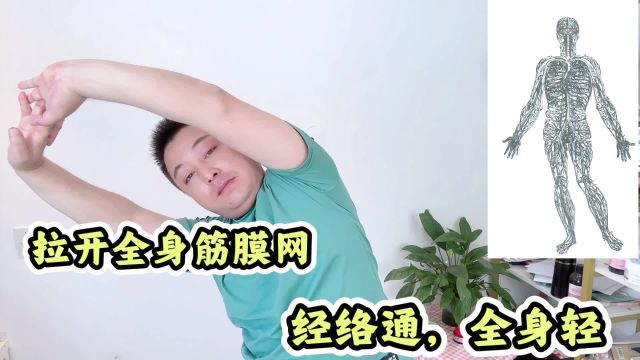 一个动作拉开全身“筋膜网”,筋长人长寿,经络通全身轻