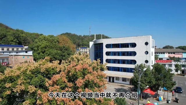 驱车一进入到湖南韶山市,就感觉城区干净整洁,不愧是主席家乡