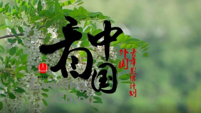 “看中国ⷮŠ辽宁行” | 创作团队(二)秘密花园