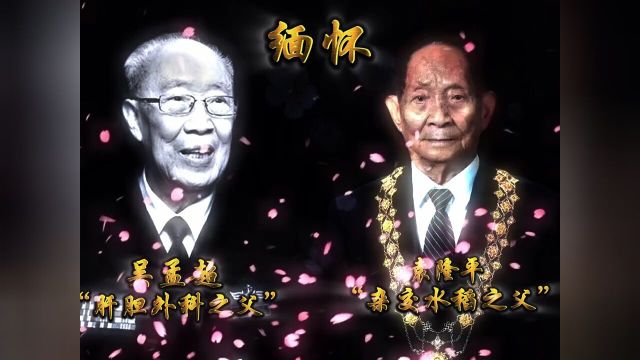 斯人已逝,精神永存!深切缅怀!袁隆平、吴孟超2021年5月22日两位院士逝世