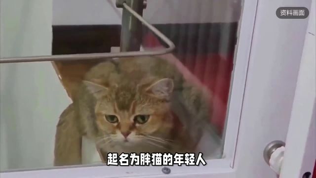 胖猫事件再掀波澜,这次又反转了吗?