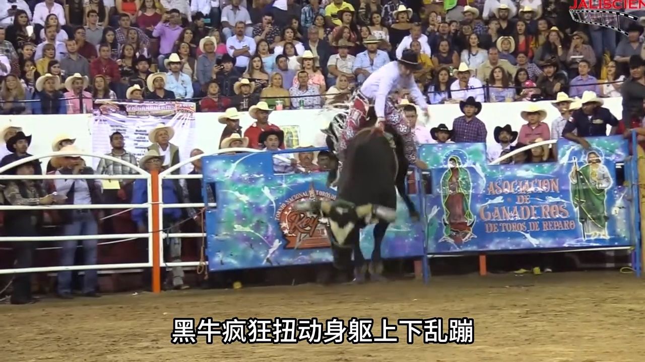 危险骑牛大赛,谁能在牛背上坚持8秒钟,就有机会赢得百万奖金.