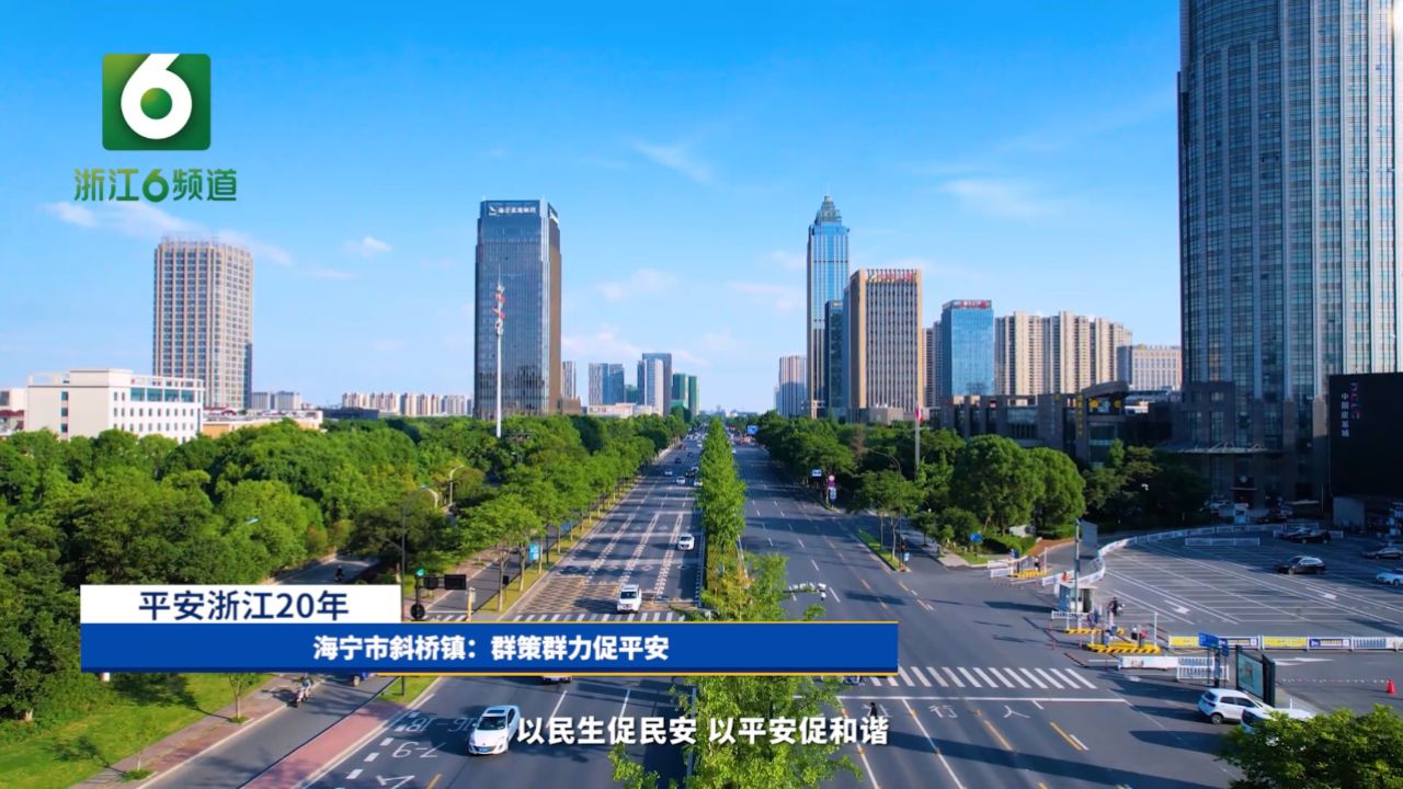 海宁市斜桥镇:群策群力促平安