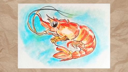 画一只可爱的小虾虾