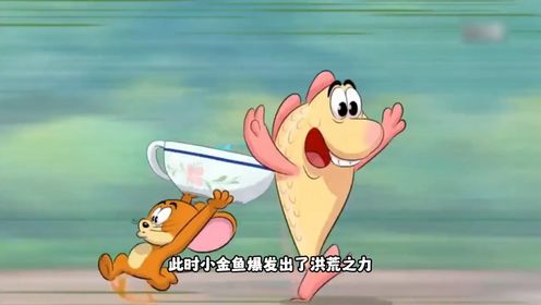 猫和老鼠 动画短片解说