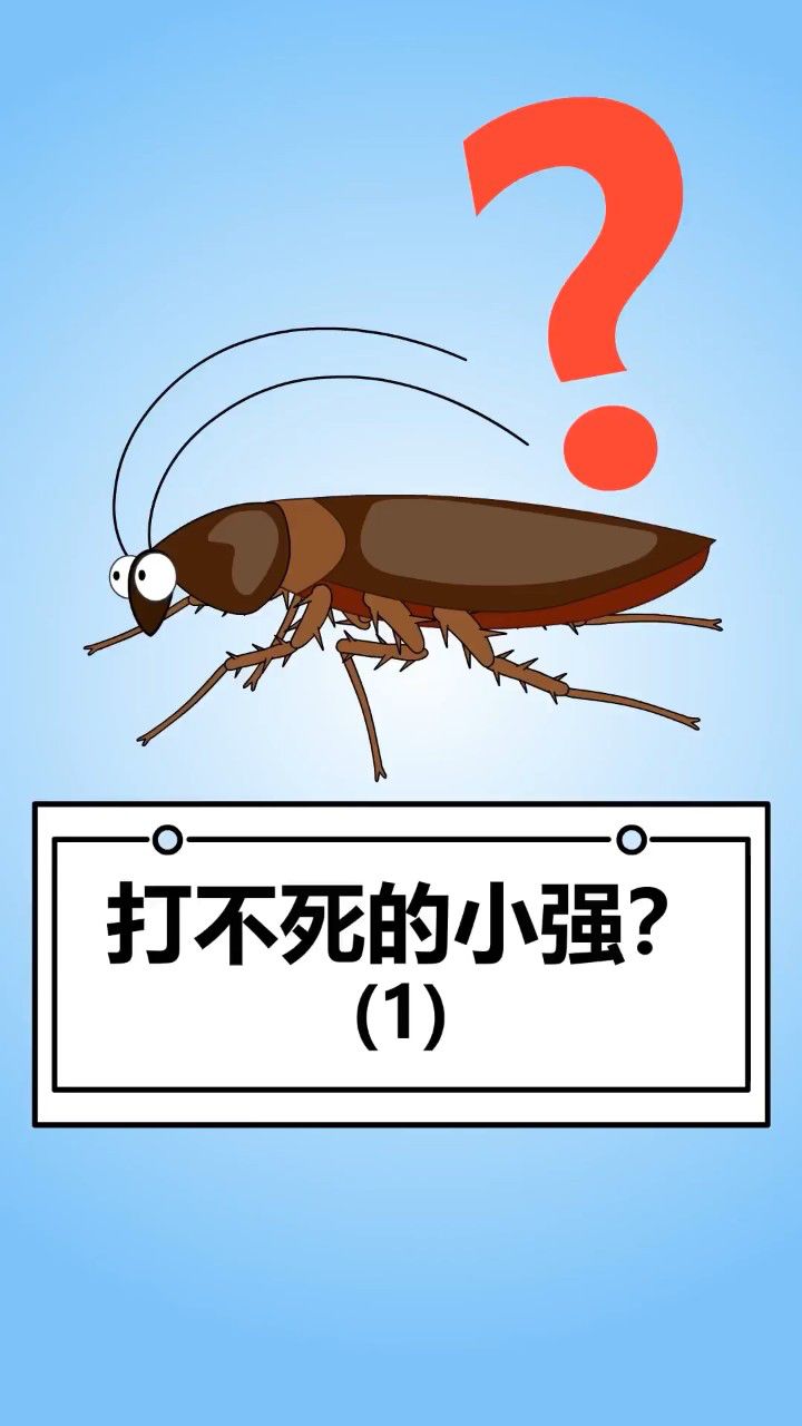 小强为什么很难打!