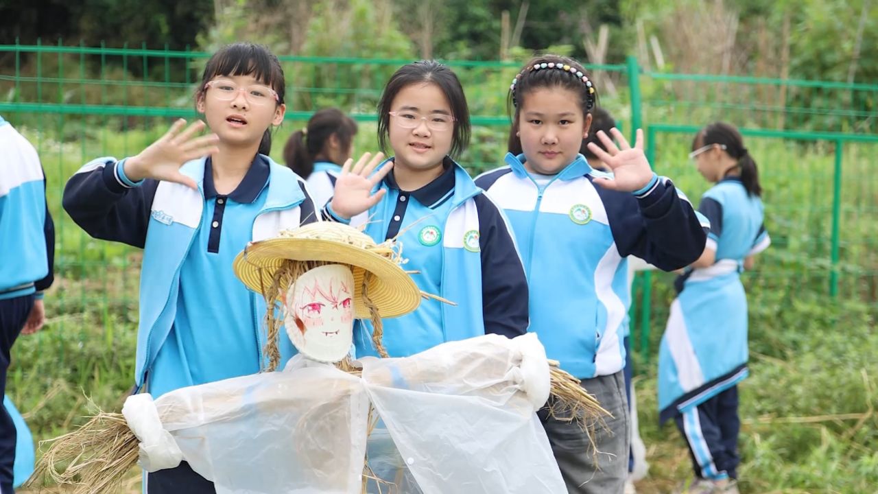 岳麓区枫林绿洲小学,岳麓区(第4页)_大山谷图库