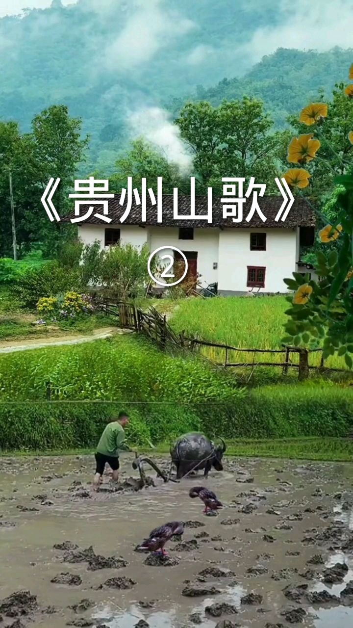 贵州山歌二人对唱3