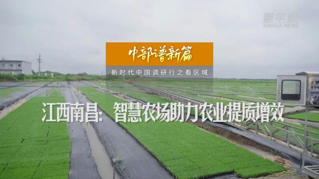 新时代中国调研行之看区域ⷤ𘭩ƒ觯‡|江西南昌:智慧农场助力农业提质增效