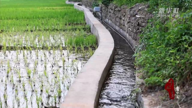 千城百县看中国|河北卢龙:汩汩渠水润良田