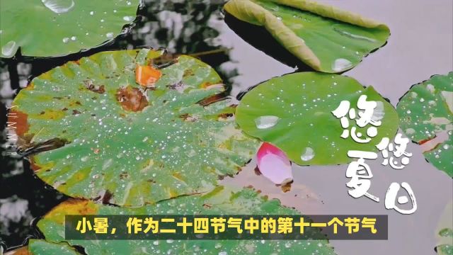 小暑:通常在每年的公历7月6日或7日,二十四节气中的第十一个节气,标志着夏季的进一步深入和气温的逐渐升高.小暑时节,太阳直射点逐渐南移,但北...