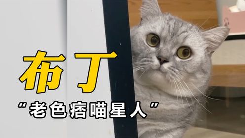 盘点全网最火的10大猫meme原型，快来看看你刷到过哪几个？#搞笑萌宠#搞笑表情#沙雕宠物_高清1080P在线观看平台_腾讯视频