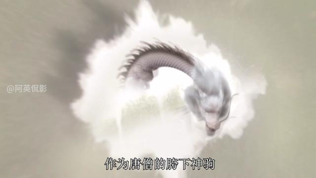 西游记 #孙悟空 #小白龙 #奎木狼 #猪八戒