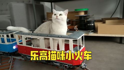 Building a Cat-Sized Lego Train