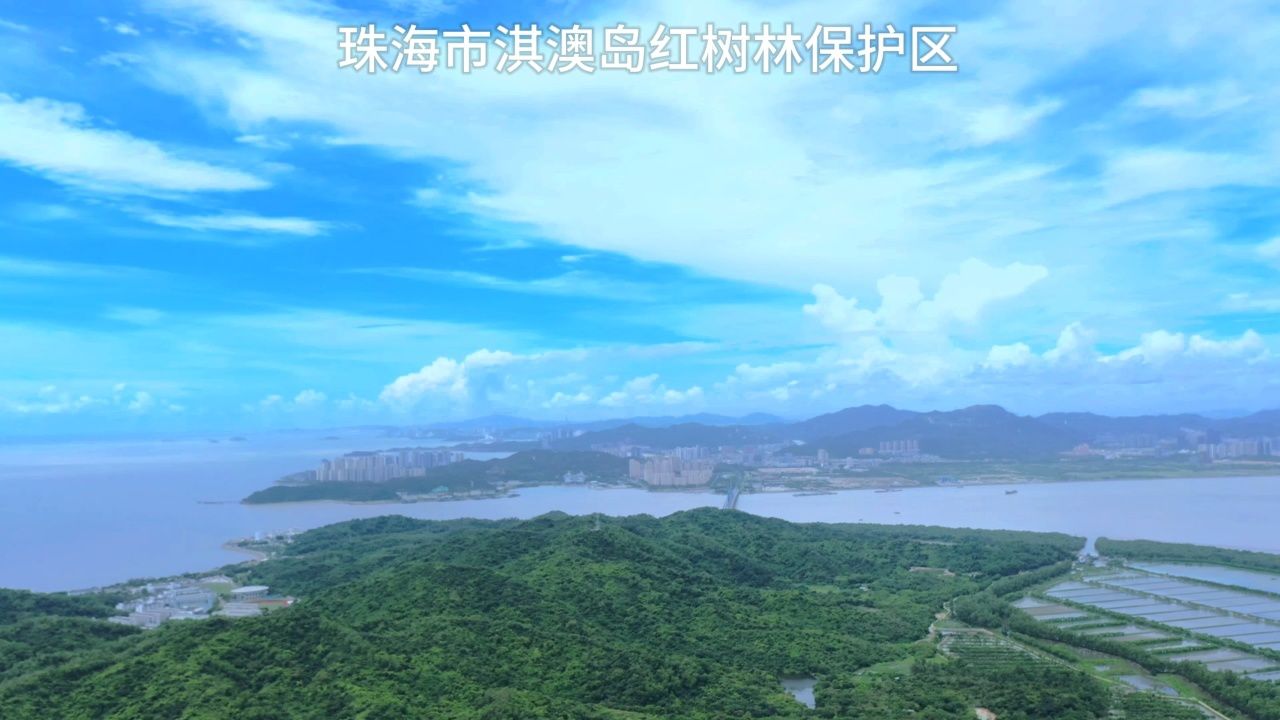 珠海市淇澳岛红树林保护区