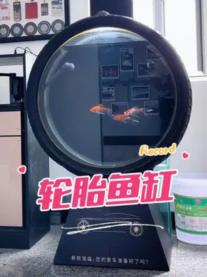 28寸轮胎鱼缸,简约之美,发现生活的美好.