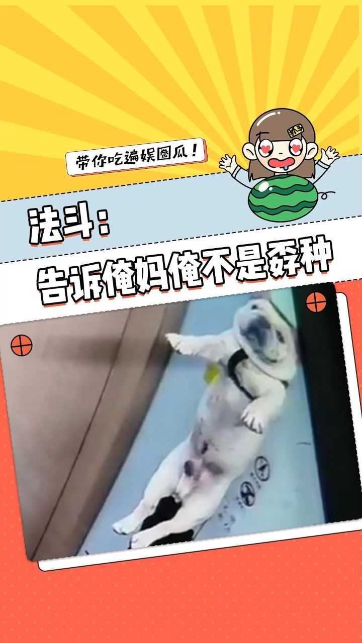 告诉俺娘俺不是孬种_高清1080P在线观看平台_腾讯视频