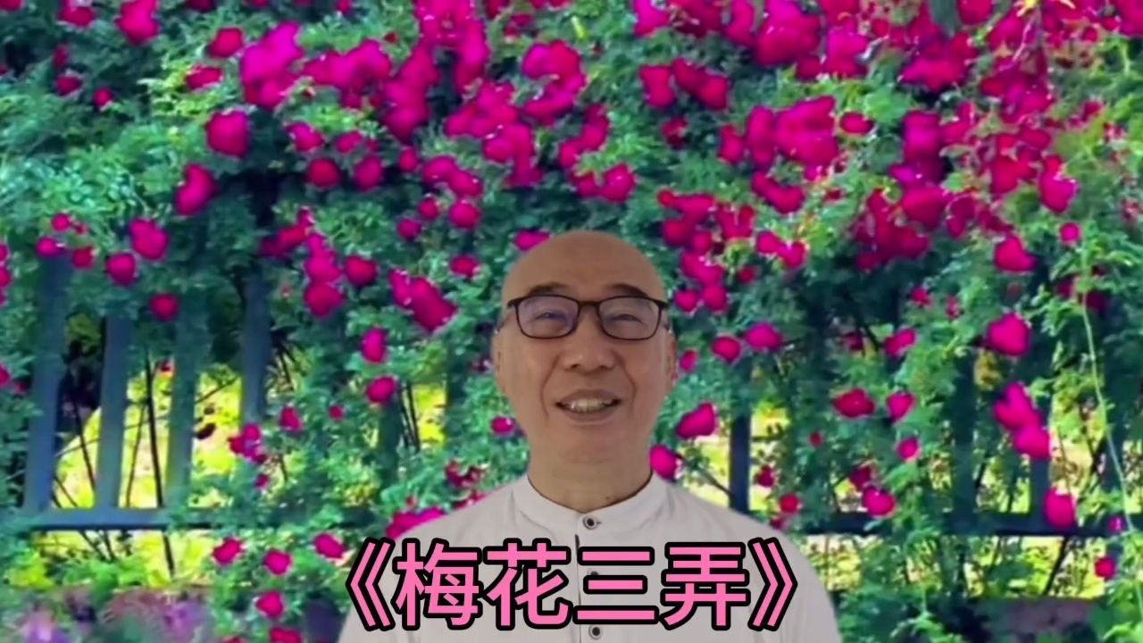 梅花烙主题曲图片