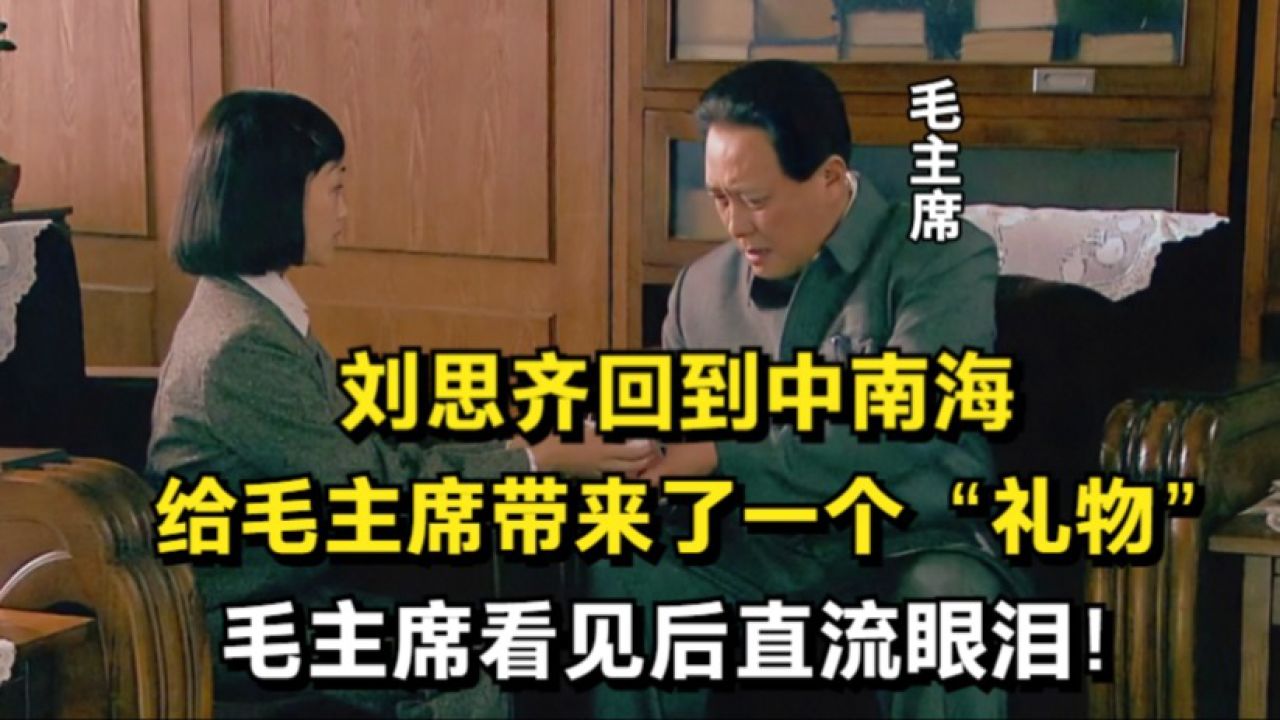 刘思齐回到中南海，给毛主席带来一个“礼物”，毛主席看后直流泪_高清