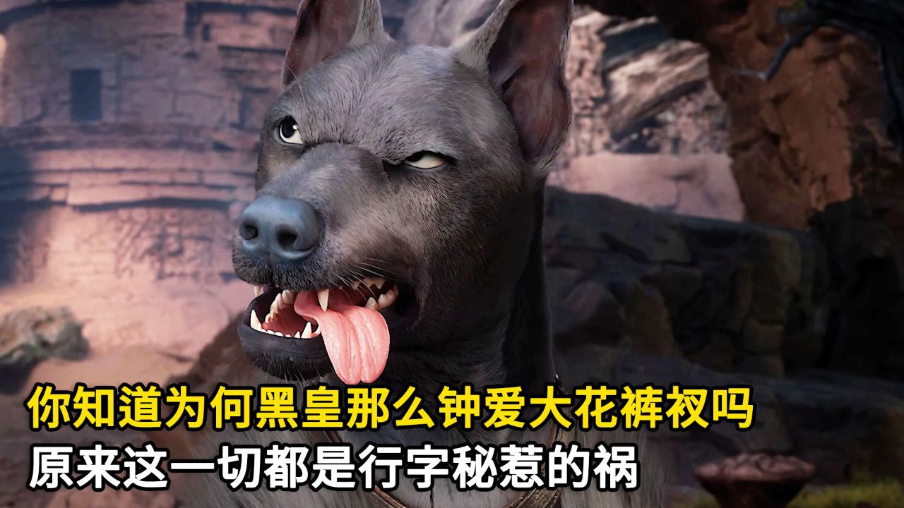 遮天:你知道为何黑皇那么钟爱大花裤衩吗?