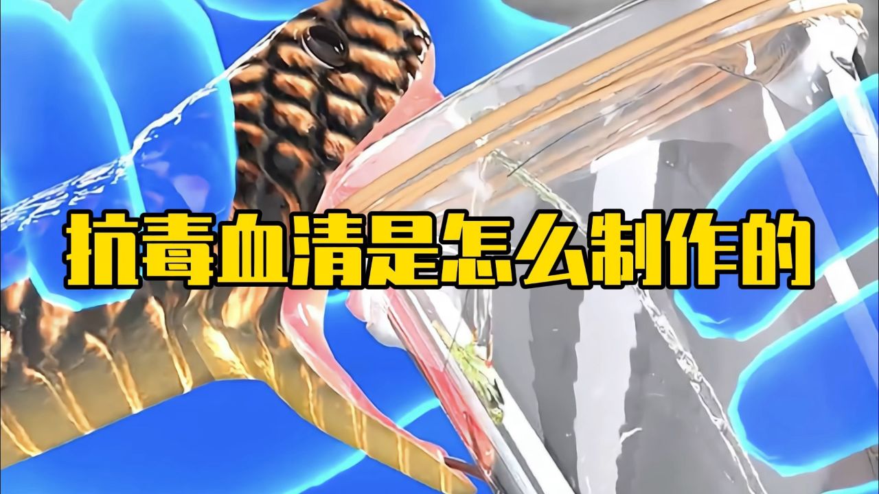 抗毒血清是怎样制作出来的?_高清1080P在线观看平台_腾讯视频