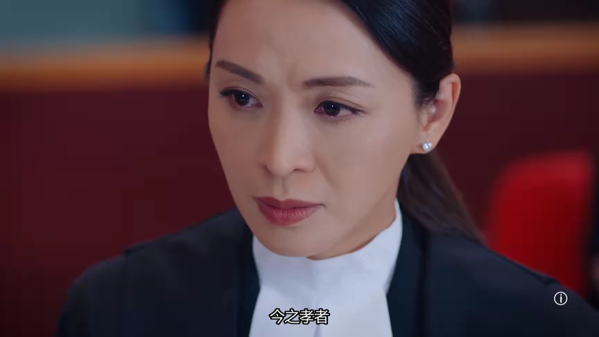 双生陌生人[普通话版] 22集