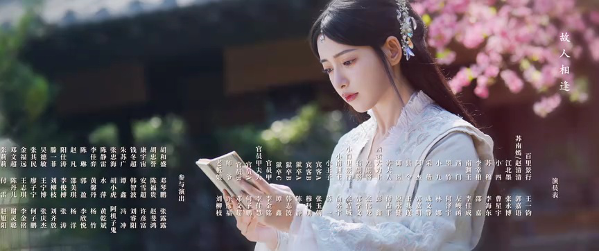 双花镜 19集