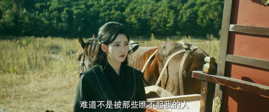 双花镜 20集