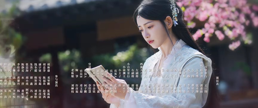 双花镜 14集