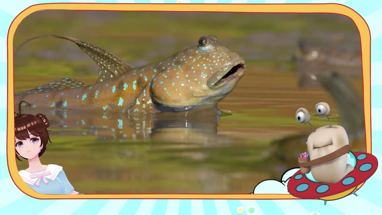 弹涂鱼吃泥沙大餐