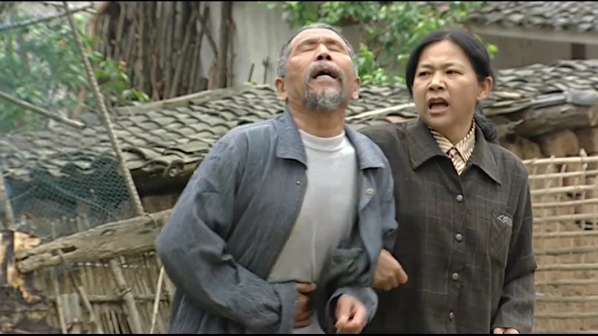 天下农民 8集