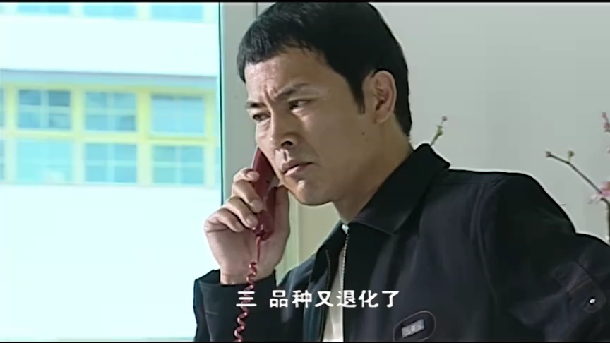 天下农民 14集