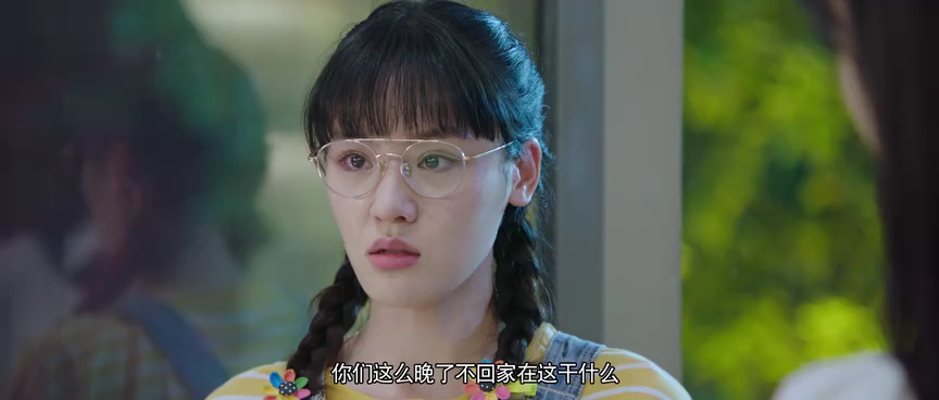 花海 13集