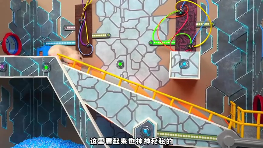 小仓鼠闯关乐园第二季 38集