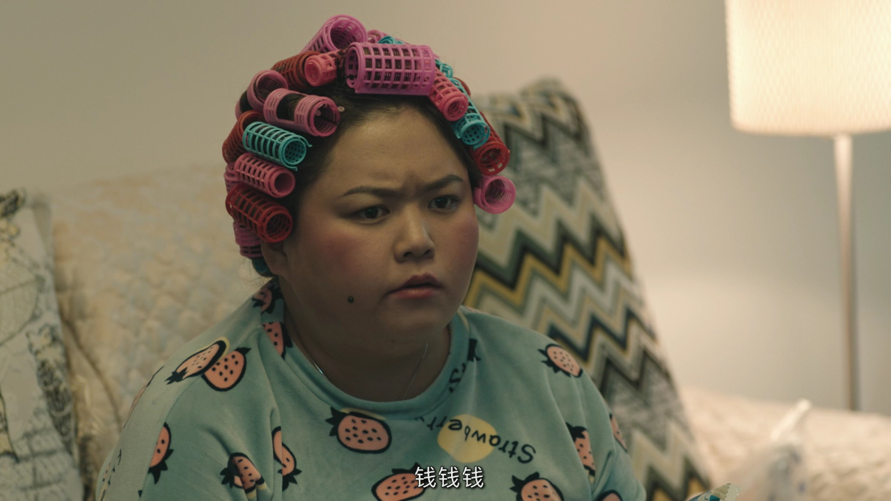 谜案寻凶 9集