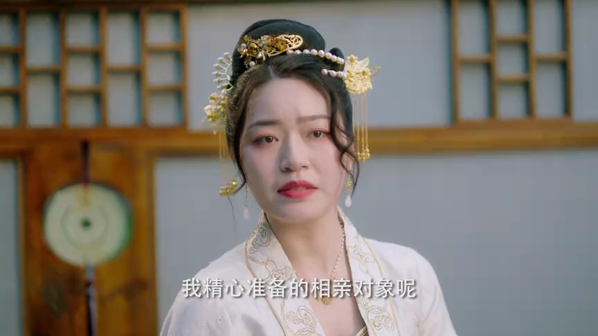 陆昭昭的刺客笔记 1集