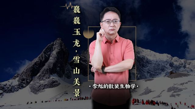 巍巍玉龙,高原反应也挡不住的雪山绝美